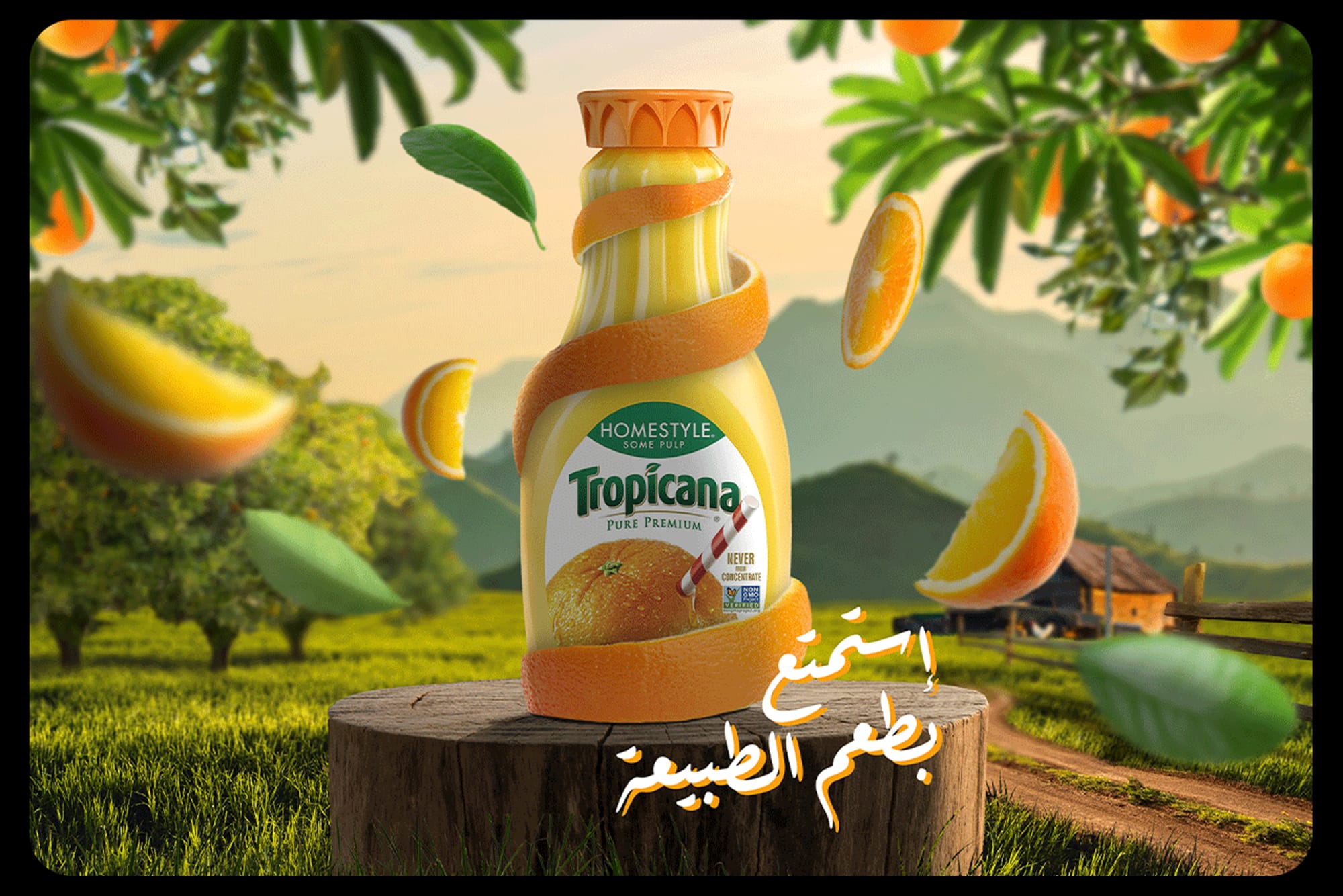 Untitled-1Artboard 12